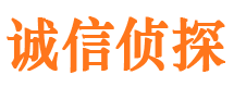 桃山市婚外情调查